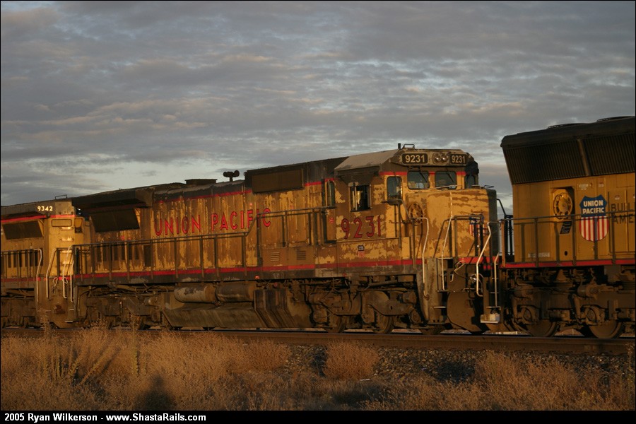 UP 9231