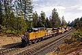 UP 5559