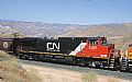 CN 2655